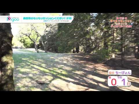 森杏奈のもりもりミッションください！ #16 2015年1月放送ダイジェスト　出演：森杏奈