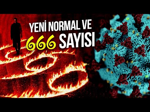 Video: ŞÜRSÜN DÜNYASI