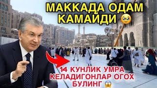 картинка: 7ОКТИЯБР УМРА МАККА ЗИЁРАТ УМРА ОГОХ БУЛИНГ УМРА САФАРИ УМРА 2025 #умра #умра2025