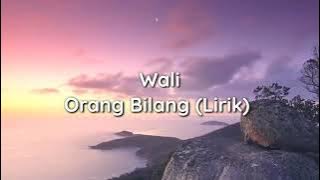 wali Band ( orang bilang ) lirik music