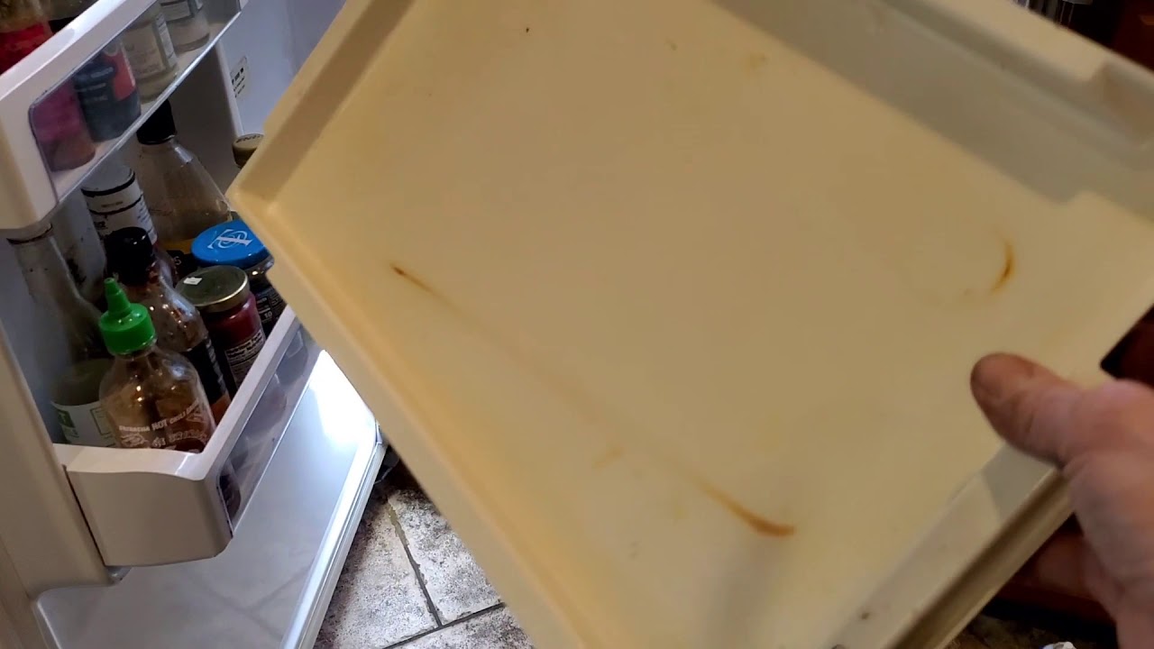 Water pooling in my GE Monogram refrigerator finally fixed! YouTube