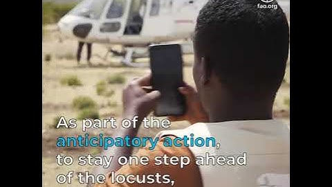 FAO Desert Locust aerial control operations funded by European Union Humanitarian Aid in Somaliland