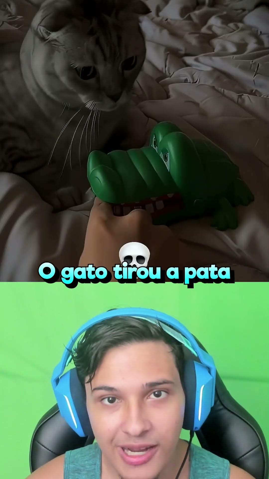 Gatos São OP