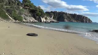 Katana 050121 18 Octalus