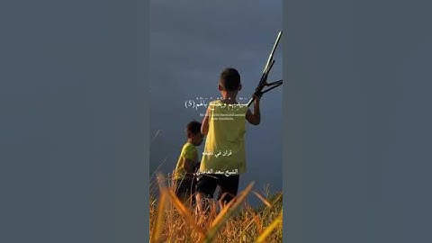قران كريم ارح قلبك وسمعك #قران_في_دقيقة @قران_في_دقيقة #quran #قران #سعد_الغامدي #funny