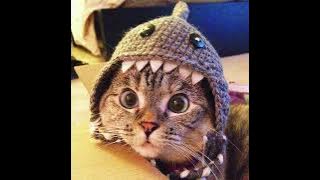 1nonly sorry i like you 1hour loop