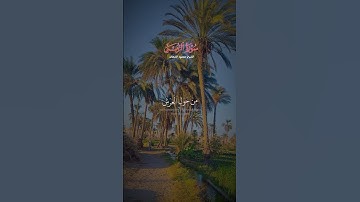 الشيخ محمود الشحات تلاوة ممتعة #اكسبلور #المصحف #تصويري #تيك_توك #راحة_نفسية #حالات_واتس