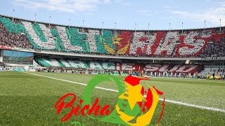 Tifo Virage Sud Derby MCA 2-2 usma 2016 تيفو فيراج سود في الداربي