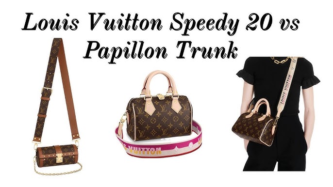 Louis Vuitton PAPILLON TRUNK (REVIEW, WHAT FITS AND MOD SHOT) 
