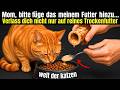 Füge dies täglich dem Trockenfutter der Katze hinzu — es behebt fast alles und macht sie glücklicher