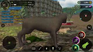 Panther Online