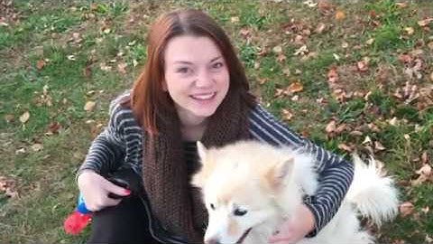 Consumer Behavior - Introduction Video