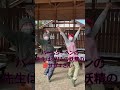 【定年後にやりたかった100のこと】パート20 バームクーヘンを作ってみたい＃shorts