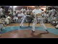 senzala 50 rio de janeiro capoeira iuna