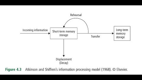 EDUC367: Capter 4: Information Processing
