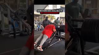 3 Reasons why you should try reverse hack squat