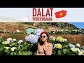 VLOG เที่ยวดาลัด เวียดนาม  DALAT VIETNAM