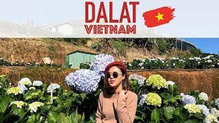 VLOG เที่ยวดาลัด เวียดนาม DALAT VIETNAM