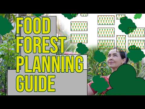 How to Create a Food Forest Site Plan Sun Shade and Water Flow Mapping Tutorial