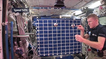 Astro Academy: Principia - Two equal mass head on side view