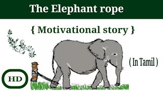 The Elephant rope | Motivational stories | moral Stories @Kidsworldmathi