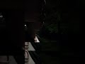 Antique (Rotary) - short film #movie #fyp #shortfilm #shorts #niche #suspense #indie