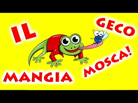 Il Geco Mangia Mosca OFFICIAL