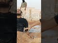 يا قومي قومت جمل ما طيح طيحت حصان