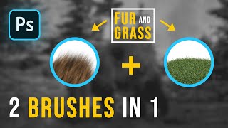 Creating Brushes in Photoshop | Creating a Hair and Grass Brush