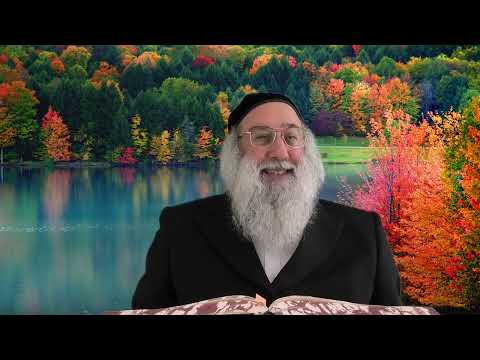 להתחיל בכל פעם מחדש | שיעור מתורתו של רבי נחמן מברסלב | מאת הרב ברוך זרובבל