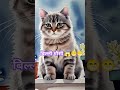 Short Shortaivideo Aivido Aivideo Cataivido Loinai Video Aivideo Tiger Video2025 Comedy Short Shortaivideo Aivido Aivideo Cataivido Loinai Video Aivideo Tiger Video2025 Comedy