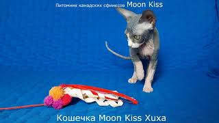 Moon Kiss Xuxa