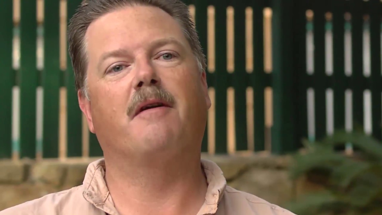 16VR "Climbing La Difensa" (