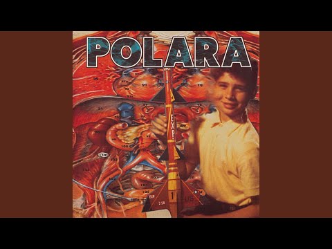 Polara — Allay