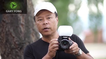 Introducing The New 2014 Puffer Plus!