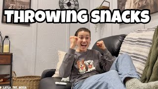 Throwing Snacks to Dogs 😂