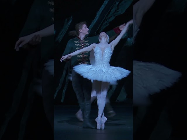 Swan Lake – End of Act II (The Royal Ballet) #shorts #RoyalOperaHouse class=