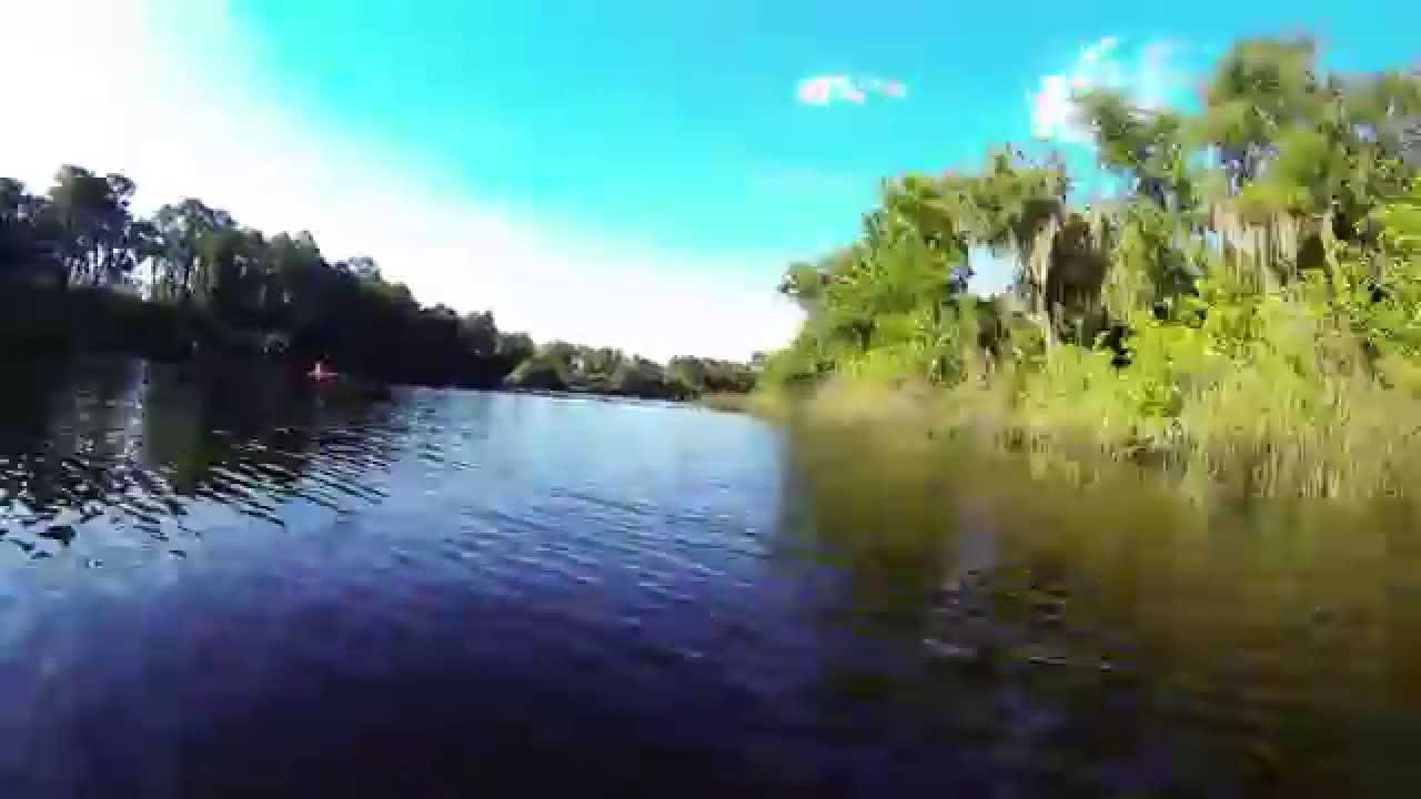 Kayaking the Little Manatee River YouTube