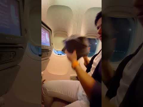 إلى بوشنكي