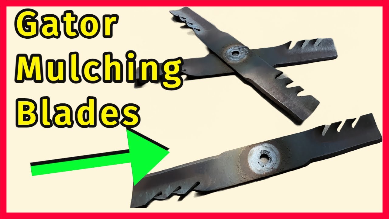 3 Mulch Blades 52 Inch For Hustler Raptor | Replaces 785436 787721 794198 795526 | RAPTOR Brand
