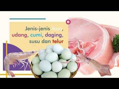 Daging Susu Telur Dan Ikan Termasuk Bahan Makanan Yang Mengandung