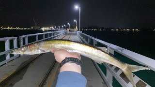 Catching BIG Snook off Busselton Jetty!! (WA)