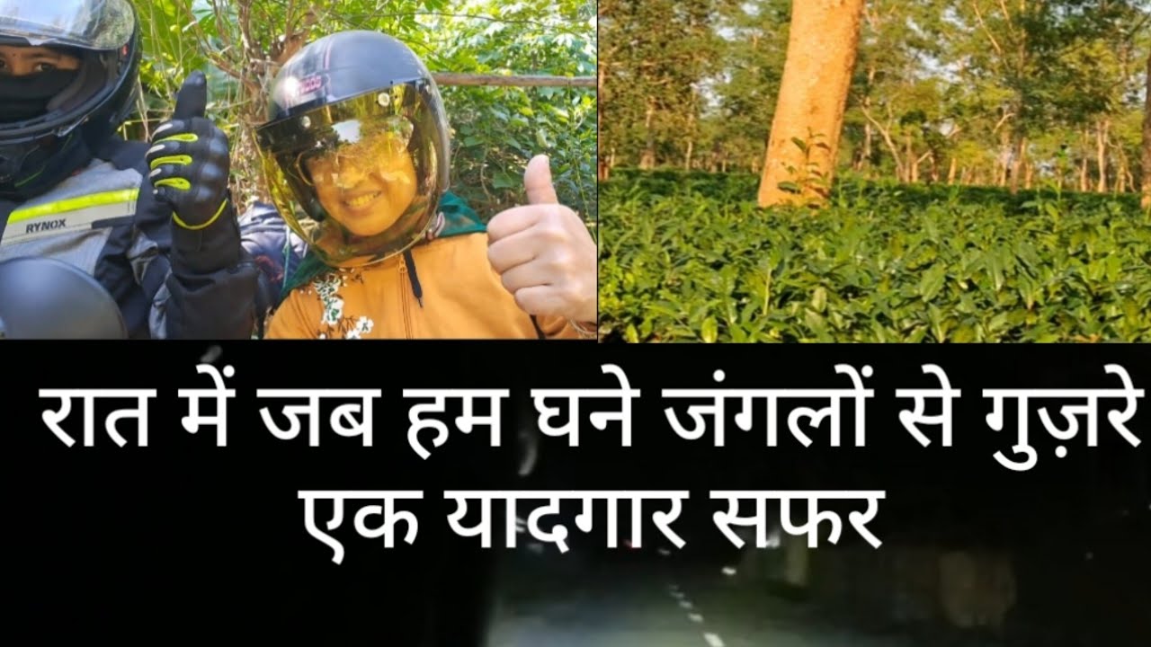 रात में जब हम जंगल से गुज़रे ll एक यादगार सफर ll VLOGll 