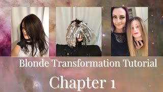 Dark to Blonde hair transformation, how to Tutorial  Part 1/4