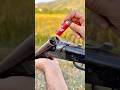 Can This Old Double Barrel Shotgun Still Dominate? #review #hunting