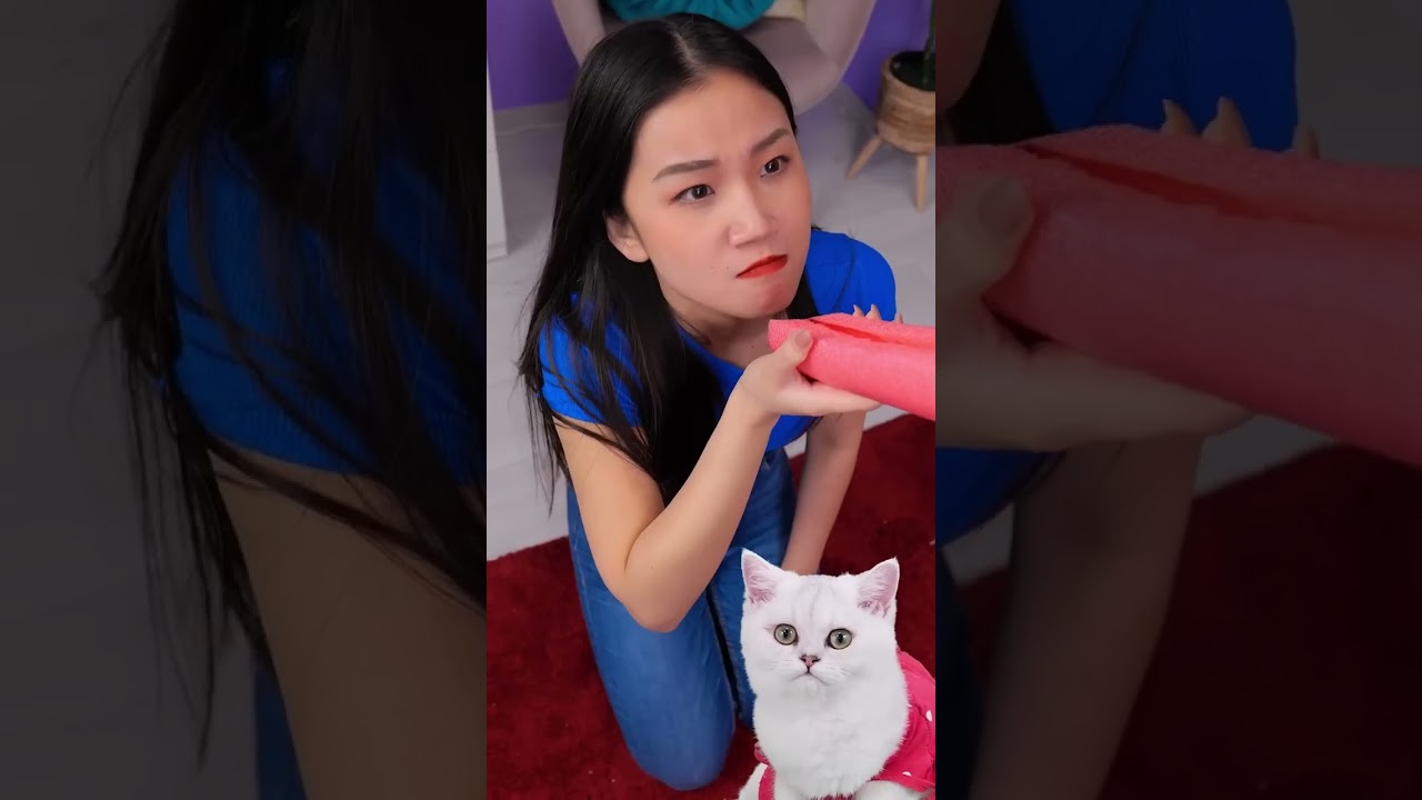 مغامرات مضحكة مع القطط! 😂🐱 #قصص_مضحكة #فشل