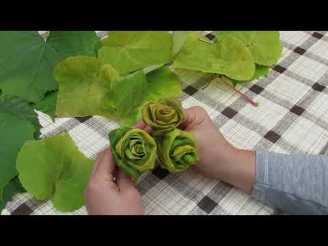 Video: In Sonnenblumen sind Rochenblüten?