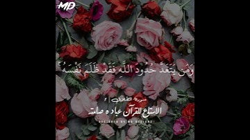 حالات واتس قرأن كريم | سورة الطلاق ❤️