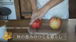 SUB/Vlog/この秋一番のお買い物/若山曜子さんのりんごのケーキ/栗の季節/おでん/ブドウを収穫/Vlog