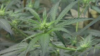 Ohio Senate passes provisions to change some aspects of Issue 2